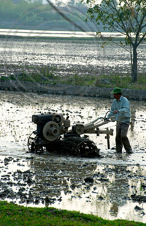 PREPARING PADDY FIELDS FOR PLANTING
