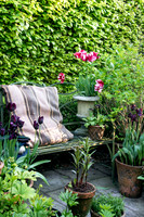 RORY'S GARDEN