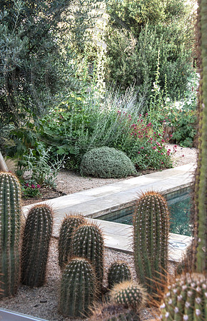 EL CORTIJIO