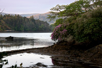 Dereen Garden, Ire