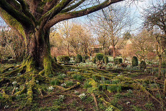Upton Wold garden