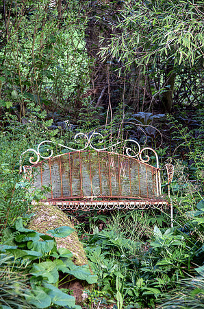 HUNTINGBROOK JIMI BLAKE;Chusquea , lady fern Athyrium filix-femina
