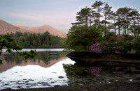 Derreen Garden