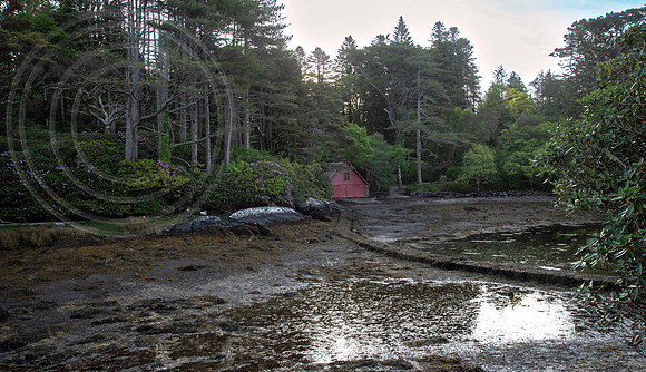 Dereen Garden, Ire