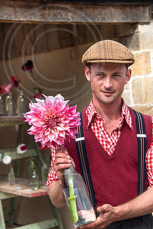 ham court dahlia show