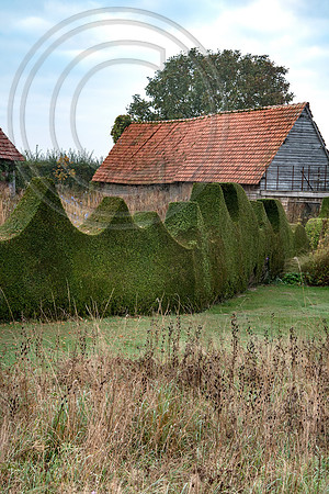 JARDIN PLUME
