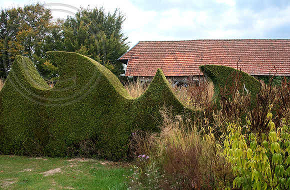 JARDIN PLUME