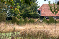 JARDIN PLUME