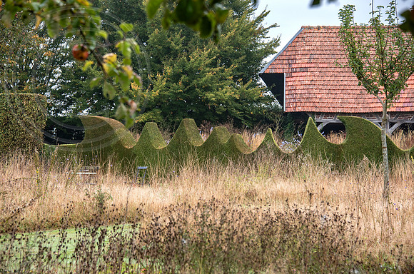 JARDIN PLUME