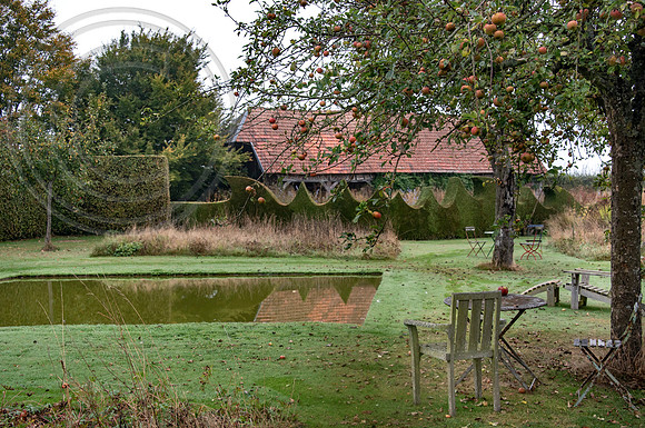JARDIN PLUME
