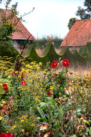JARDIN PLUME
