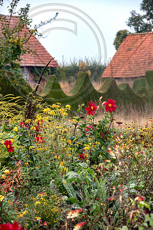 JARDIN PLUME