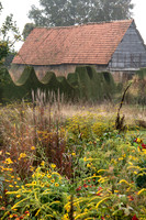 JARDIN PLUME