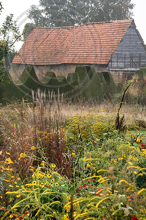 JARDIN PLUME