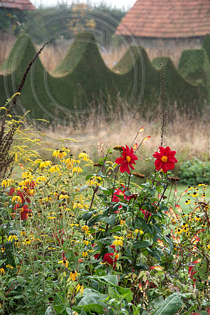 JARDIN PLUME