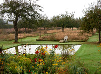 JARDIN PLUME