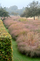JARDIN PLUME