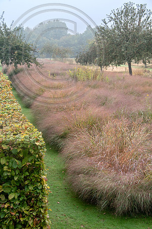 JARDIN PLUME