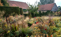 JARDIN PLUME