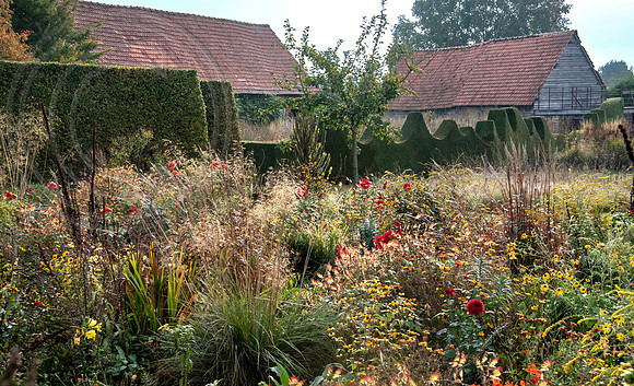JARDIN PLUME