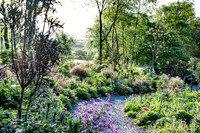 HUNTINGBROOK JIMI BLAKE Aralia echinocaulis, Pseudopanax crassifolius, Lunaria annua, Geum,Lilium,