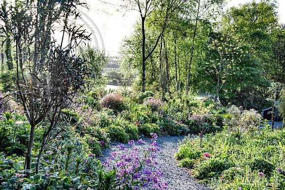HUNTINGBROOK JIMI BLAKE Aralia echinocaulis, Pseudopanax crassifolius, Lunaria annua, Geum,Lilium,