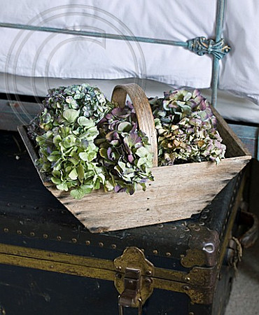 DESIGNER CAROLYN MINTY, GLOUCESTERSHIRE - GUEST BEDROOM WITH IRON BED AND VINTAGE LEATHER TRUNK - TRUG WITH DRIED HYDRANGEAS