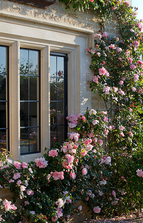 roses frame the housewindows