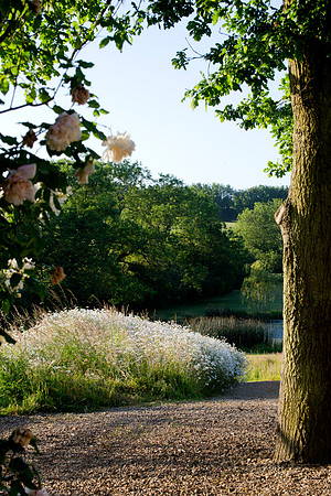 roses frame arch ways