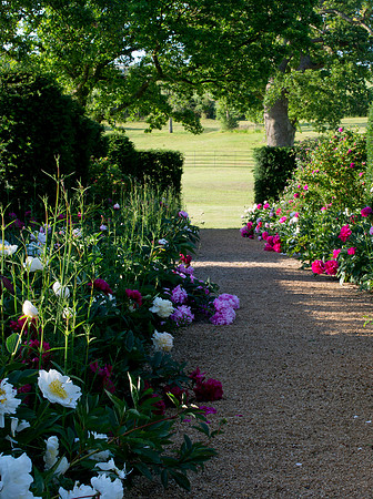 Peony walk