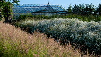 from the meadow to the glass and fruit houses