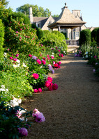 Peony walk