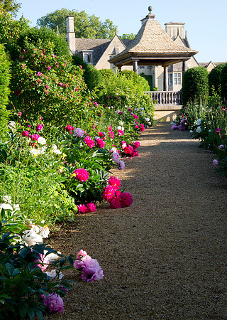 Peony walk