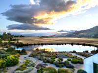 joe wakelins garden new zealand