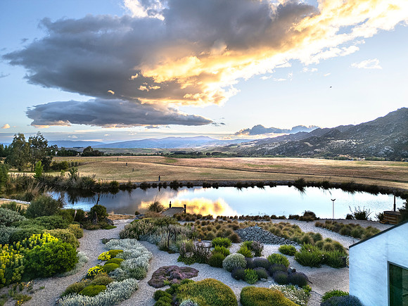 joe wakelins garden new zealand