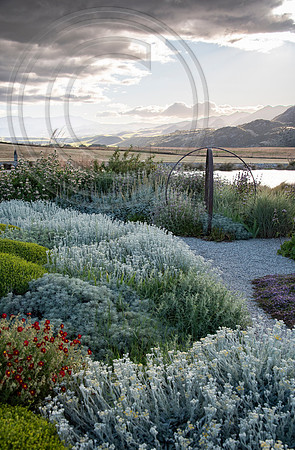 joe wakelins garden new zealand