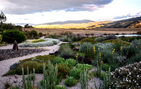 joe wakelins garden new zealand