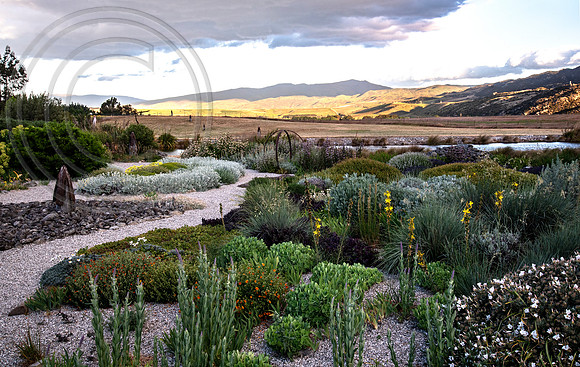 joe wakelins garden new zealand