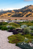 joe wakelins garden new zealand