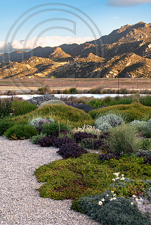 joe wakelins garden new zealand