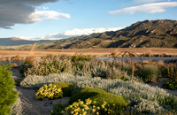 joe wakelins garden new zealand