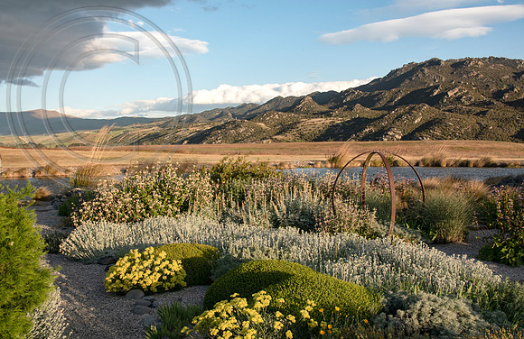 joe wakelins garden new zealand