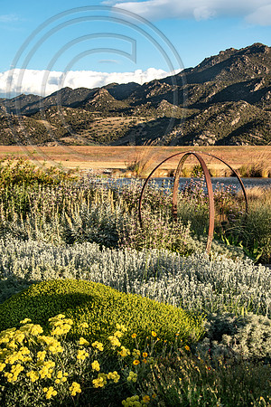 joe wakelins garden new zealand