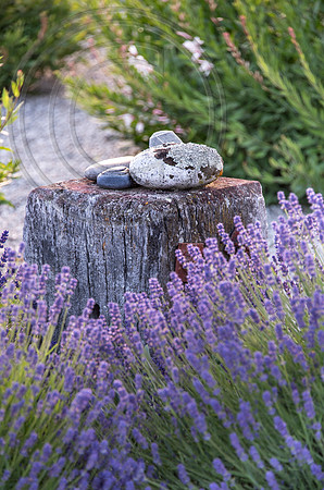 joe wakelins garden new zealand