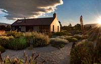joe wakelins garden new zealand