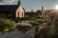 joe wakelins garden new zealand