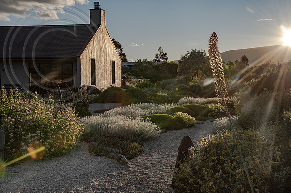 joe wakelins garden new zealand