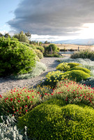 joe wakelins garden new zealand
