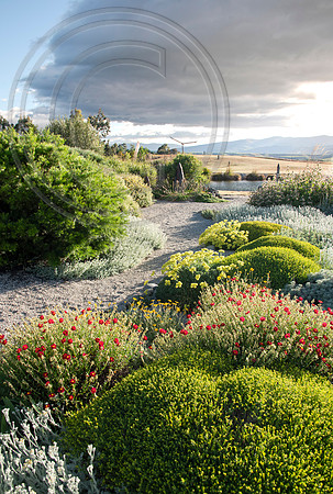 joe wakelins garden new zealand