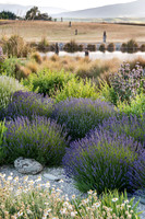 joe wakelins garden new zealand